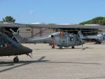 20090618210828_ftpj_6.jpg